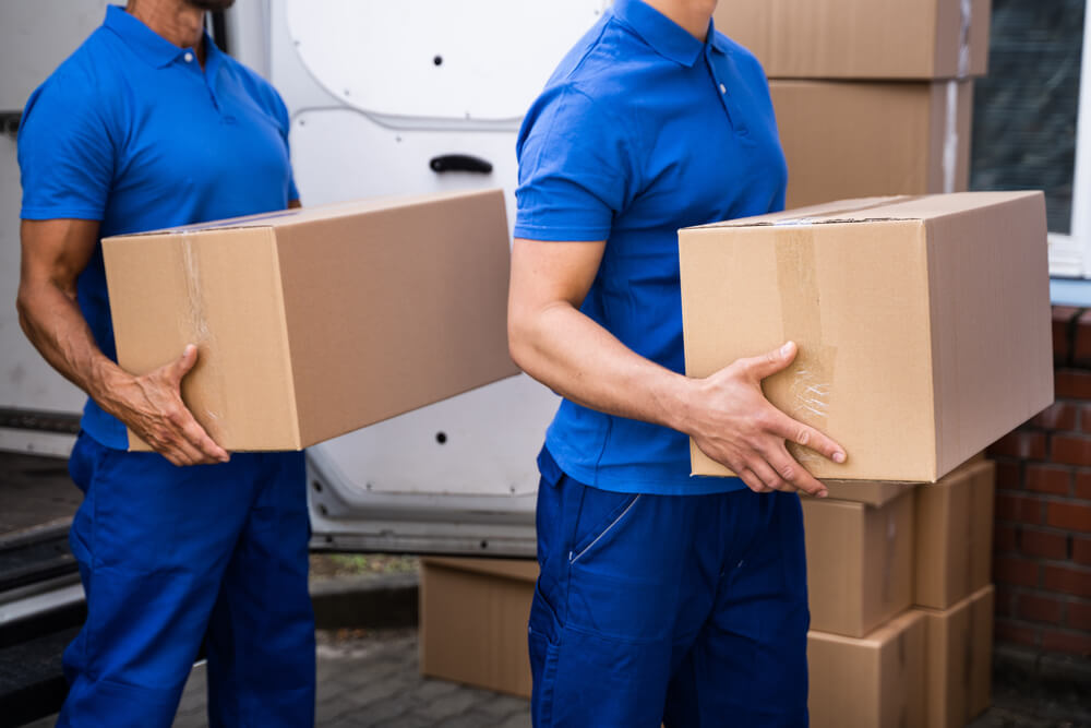 Moving And Storage Planning