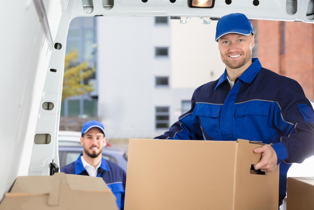 Moving Coordination Professionals