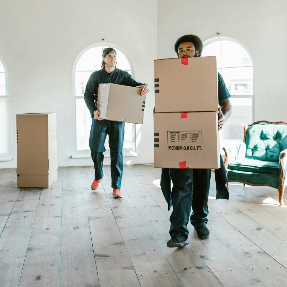 Essential Guide for Moving from Michigan to Texas: Expert Tips for a Smooth Transition