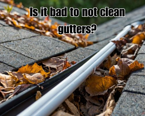Messy gutter in need of cleaning.
