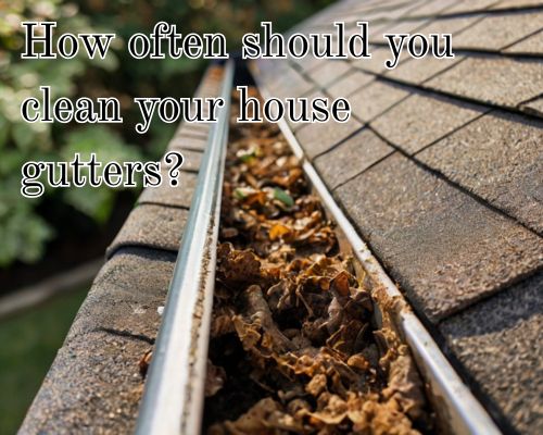 Gutter choked with wet leaves.