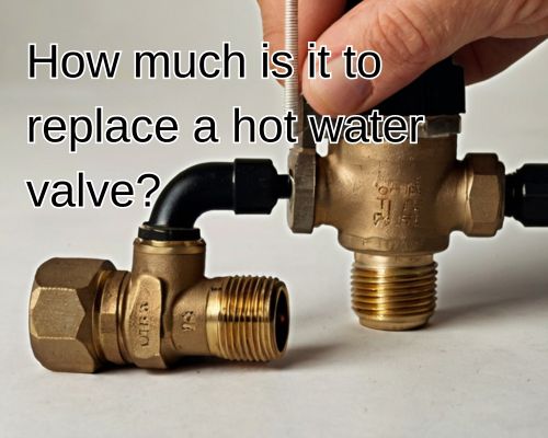 a new hot water valve to be put