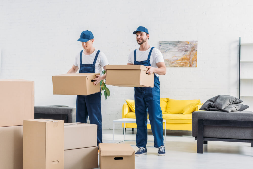 Professional Moving Services Amherst