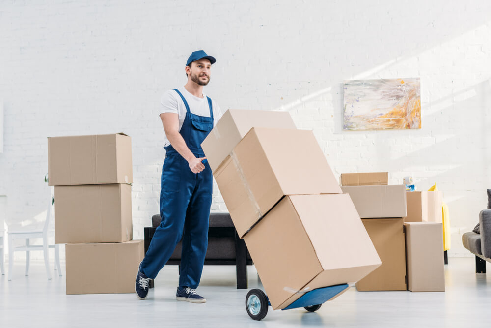 Packing Services Amherst Movers